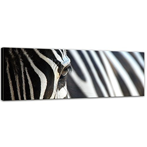 Keilrahmenbild - Zebra - Bild auf Leinwand - 160 x 50 cm...