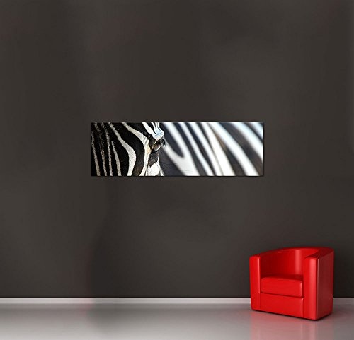 Keilrahmenbild - Zebra - Bild auf Leinwand - 160 x 50 cm - Leinwandbilder - Bilder als Leinwanddruck - Tierwelten - Natur - Afrika - gestreiftes Tier