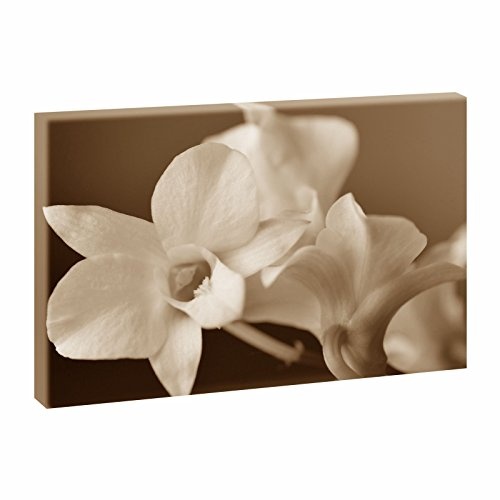 Orchidee 1 | Panoramabild im XXL Format | Trendiger...