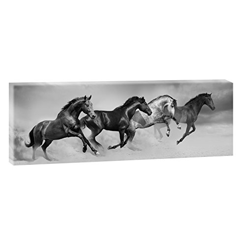 Wilde Pferde | Panoramabild im XXL Format | Kunstdruck...
