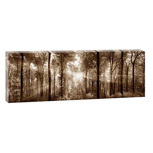Sonnenstrahlen im Wald | Panoramabild im XXL Format | Poster | Wandbild | Fotografie | Trendiger Kunstdruck auf Leinwand | Verschiedene Farben und Größen (120 cm x 40 cm, Sepia)
