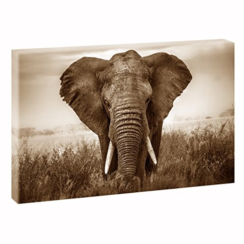 Elefant | V1720319 | Bilder auf Leinwand | Wandbild im XXL Format | Kunstdruck in 120 cm x 80 cm | Bild Afrika Wilde Tiere (Sepia)
