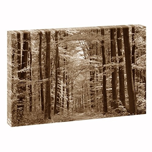 Waldimpression | V1720445 | Bilder auf Leinwand | Wandbild im XXL Format | Kunstdruck in 120 cm x 80 cm (sepia) | Bild Wald Bäume Natur Kraft Landschaft