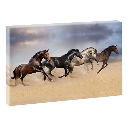 Wilde Pferde | Panoramabild im XXL Format | Kunstdruck...