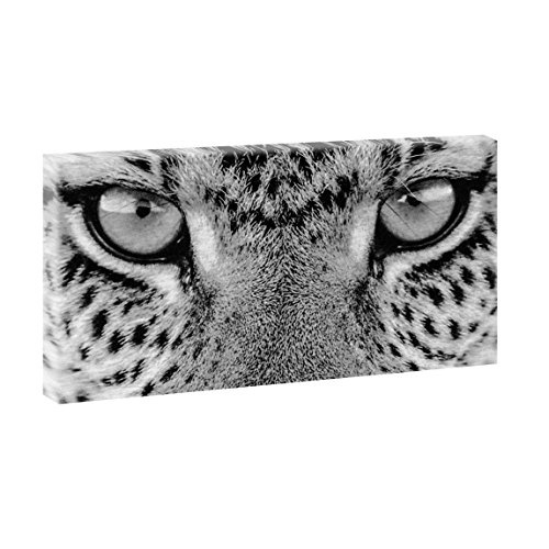 Leopard eyes | Panoramabild im XXL Format | Kunstdruck...