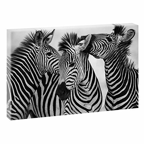 Zebras | Trendiger Kunstdruck auf Leinwand | XXL Format | Verschiedene Farben und Größen (120 cm x 80 cm, Schwarz-Weiß)