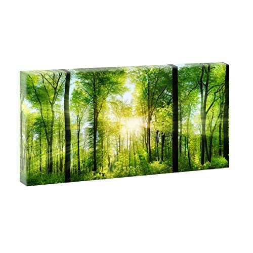 Sonnenstrahlen im Wald | Panoramabild im XXL Format |...