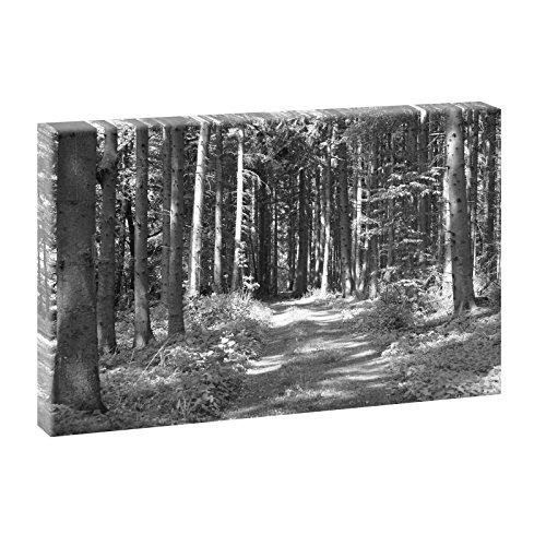 Waldimpression 1 | Panoramabild im XXL Format | Trendiger Kunstdruck auf Leinwand | Verschiedene Farben (Schwarz-Weiß)