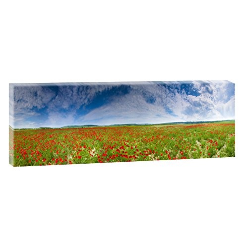 Mohnblumen| Panoramabild im XXL Format | Trendiger Kunstdruck auf Leinwand | Verschiedene Größen (150 cm x 50 cm)
