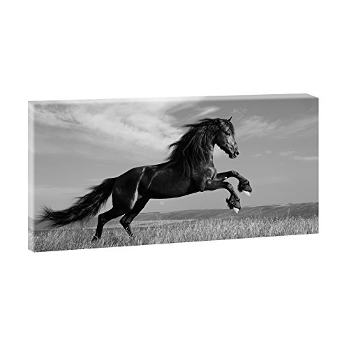 Schwarzes Pferd | Panoramabild im XXL Format | Kunstdruck...