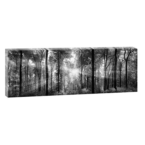 Sonnenstrahlen im Wald | Panoramabild im XXL Format |...