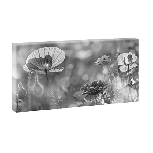 Blumenwiese | Panoramabild im XXL Format | Poster | Wandbild | Fotografie | Trendiger Kunstdruck auf Leinwand | Verschiedene Farben und Größen (40 cm x 80 cm, Schwarz-Weiß)