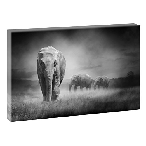 Elefant im Sonnenuntergang | V1720309 | Bilder auf Leinwand | Wandbild im XXL Format | Kunstdruck in 120 cm x 80 cm | Bild Afrika Wilde Tiere (Schwarz-Weiß)