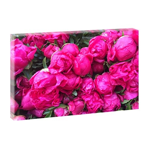 Blütenmeer | Panoramabild im XXL Format | Poster | Wandbild | Fotografie | Trendiger Kunstdruck auf Leinwand (120 cm x 80 cm | Querformat, Pink)