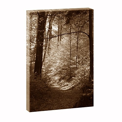 Waldimpression 3 | Panoramabild im XXL Format 65 cm* 100 cm| Trendiger Kunstdruck auf Leinwand | Verschiedene Farben (Sepia)
