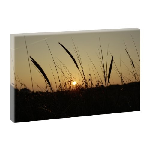 Strandhafer bei Sonnenaufgang | Panoramabild im XXL...