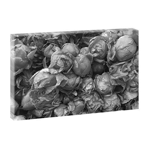 Blütenmeer | Panoramabild im XXL Format | Poster | Wandbild | Fotografie | Trendiger Kunstdruck auf Leinwand (120 cm x 80 cm | Querformat, Schwarz-Weiß)