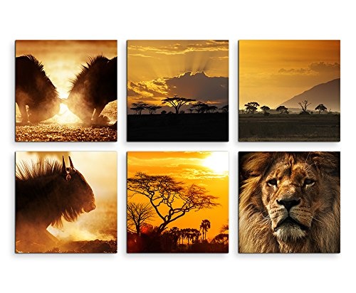 Sinus Art Bilder Set 6 STK je 40x40cm Afrika Tierwelt Löwe Gnus Akazienbaum