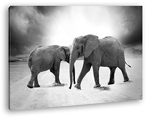 Zwei große Elefanten in der Wüste Format: 60x40 als Leinwandbild, Motiv fertig gerahmt auf Echtholzrahmen, Hochwertiger Digitaldruck mit Rahmen, Kein Poster oder Plakat