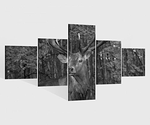 Leinwandbild 5 tlg. 200cmx100cm Hirsch Geweih wild Wald Tier schwarz weiß Bilder Druck auf Leinwand Bild Kunstdruck mehrteilig Holz 9YA1889, 5Tlg 200x100cm:5Tlg 200x100cm