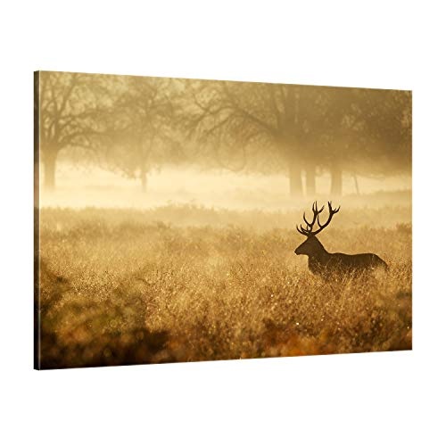 ge Bildet® hochwertiges Leinwandbild Naturbilder Landschaftsbilder - Hirsch in der Natur - Naturbild - 120 x 80 cm einteilig 2213 N