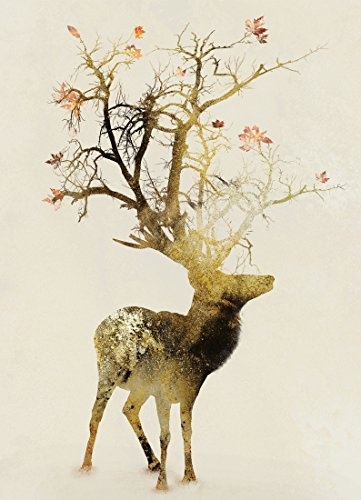 JUNIQE Leinwandbild 20x30cm Hirsche - Design "Autumn" (Format: Hoch) - Leinwand, Bilder auf Leinwand & Leinwanddrucke von unabhängigen Künstlern - Tierbilder - entworfen von Dániel Taylor