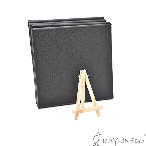 RayLineDo Set aus 4 Stück Mini Artist Schwarzer Leinwandrahmen 8x8 Zoll (20x20 cm) Öl Wasser Malerei Board Flache Leinwand mit 1 Stück Mini Holz Display Staffelei