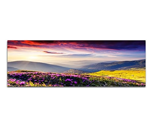 Paul Sinus Art Panoramabild auf Leinwand und Keilrahmen 120x40cm Ukraine Blumenwiese Berge Abendsonne