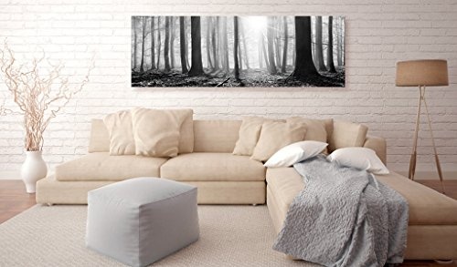 murando - Bilder Wald 150x50 cm Vlies Leinwandbild 1 TLG Kunstdruck modern Wandbilder XXL Wanddekoration Design Wand Bild - Waldlandschaft Natur Panorama Baum schwarz-weiß c-B-0235-b-a