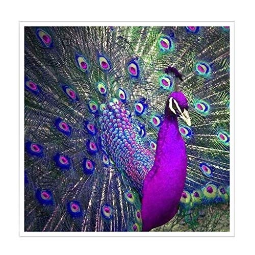 Cutebility Pfau DIY 5D Vollbohrer Diamant Malerei Stickerei Kreuzstich Kit Strass Mosaik Wohnkultur Handwerk