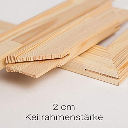 generisch Keilrahmen Bausatz 2 cm Holzleisten Set selbst zusammenbauen ohne Leinwand (40x50)