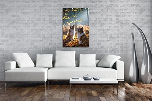 deyoli Zwei Treue Collies im Wald Format: 60x40 als Leinwand, Motiv fertig gerahmt auf Echtholzrahmen, Hochwertiger Digitaldruck mit Rahmen, Kein Poster oder Plakat
