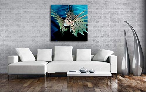 deyoli Rießiger Feuerfisch Format: 60x60 als Leinwand, Motiv fertig gerahmt auf Echtholzrahmen, Hochwertiger Digitaldruck mit Rahmen, Kein Poster oder Plakat