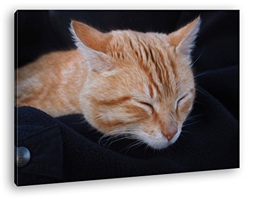 deyoli goldig schlafende Katze Effekt: Zeichnung Format: 80x60 als Leinwand, Motiv fertig gerahmt auf Echtholzrahmen, Hochwertiger Digitaldruck mit Rahmen, Kein Poster oder Plakat