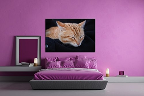 deyoli goldig schlafende Katze Effekt: Zeichnung Format: 80x60 als Leinwand, Motiv fertig gerahmt auf Echtholzrahmen, Hochwertiger Digitaldruck mit Rahmen, Kein Poster oder Plakat
