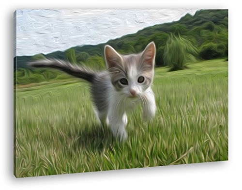 drollig spielende Katze Effekt: Zeichnung Format: 80x60 als Leinwand, Motiv fertig gerahmt auf Echtholzrahmen, Hochwertiger Digitaldruck mit Rahmen, Kein Poster oder Plakat