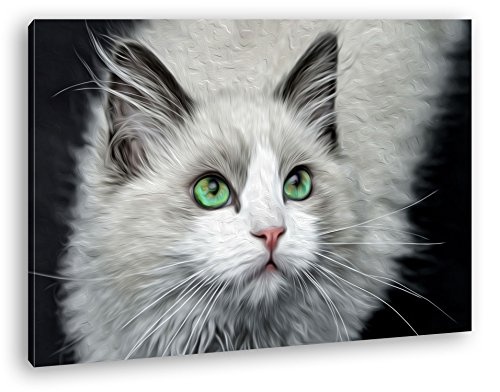 deyoli Weiße Katze mit grünen Augen Effekt: Zeichnung Format: 120x80 als Leinwand, Motiv fertig gerahmt auf Echtholzrahmen, Hochwertiger Digitaldruck mit Rahmen, Kein Poster oder Plakat