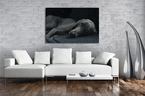 niedlicher treuer Hund auf dem Sofa Effekt: Zeichnung Format: 120x80 als Leinwand, Motiv fertig gerahmt auf Echtholzrahmen, Hochwertiger Digitaldruck mit Rahmen, Kein Poster oder Plakat