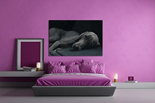 niedlicher treuer Hund auf dem Sofa Effekt: Zeichnung Format: 120x80 als Leinwand, Motiv fertig gerahmt auf Echtholzrahmen, Hochwertiger Digitaldruck mit Rahmen, Kein Poster oder Plakat
