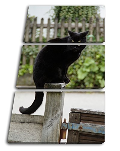 deyoli thronende Schwarze Katze im Format: 3-teilig...