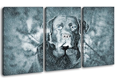 deyoli Hund im Schnee im Format: 3-teilig 120x80 als Leinwand, Motiv fertig gerahmt auf Echtholzrahmen, Hochwertiger Digitaldruck mit Rahmen, Kein Poster oder Plakat