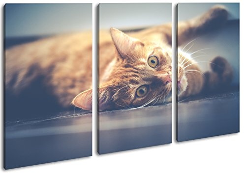 deyoli süße verspielte Katze im Format: 3-teilig 120x80 als Leinwand, Motiv fertig gerahmt auf Echtholzrahmen, Hochwertiger Digitaldruck mit Rahmen, Kein Poster oder Plakat