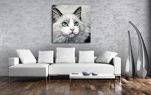 deyoli Weiße Katze mit grünen Augen Format: 60x60 als Leinwand, Motiv fertig gerahmt auf Echtholzrahmen, Hochwertiger Digitaldruck mit Rahmen, Kein Poster oder Plakat
