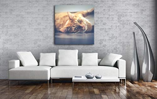 deyoli süße verspielte Katze Format: 40x40 als Leinwand, Motiv fertig gerahmt auf Echtholzrahmen, Hochwertiger Digitaldruck mit Rahmen, Kein Poster oder Plakat