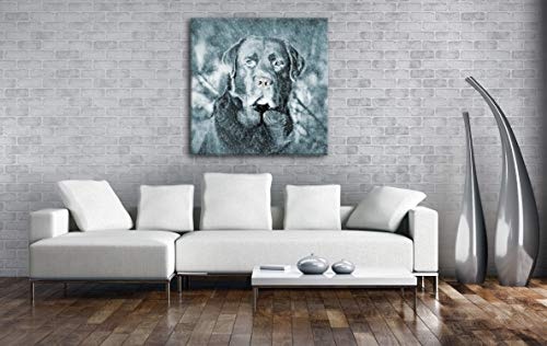 deyoli Hund im Schnee Format: 60x60 als Leinwand, Motiv fertig gerahmt auf Echtholzrahmen, Hochwertiger Digitaldruck mit Rahmen, Kein Poster oder Plakat