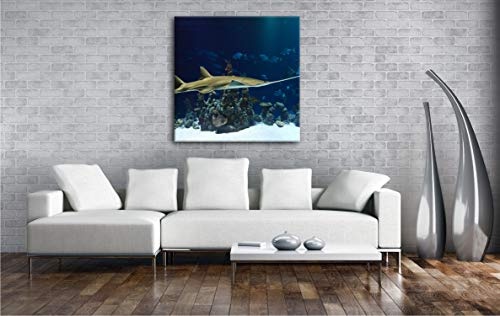deyoli Großer Sägefisch Format: 40x40 als Leinwand, Motiv fertig gerahmt auf Echtholzrahmen, Hochwertiger Digitaldruck mit Rahmen, Kein Poster oder Plakat