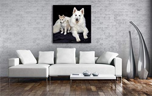 deyoli Edler weißer Hund Format: 60x60 als Leinwand, Motiv fertig gerahmt auf Echtholzrahmen, Hochwertiger Digitaldruck mit Rahmen, Kein Poster oder Plakat