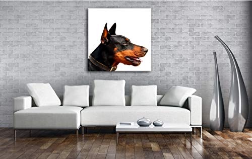 deyoli Portrait eines Dobermannes Format: 70x70 als Leinwand, Motiv fertig gerahmt auf Echtholzrahmen, Hochwertiger Digitaldruck mit Rahmen, Kein Poster oder Plakat