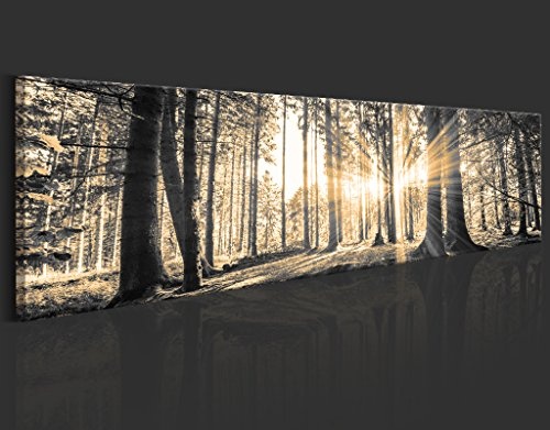 murando - Bilder Wald 172x45 cm Vlies Leinwandbild 1 TLG Kunstdruck modern Wandbilder XXL Wanddekoration Design Wand Bild - Waldlandschaft Natur Panorama Baum c-B-0149-b-c