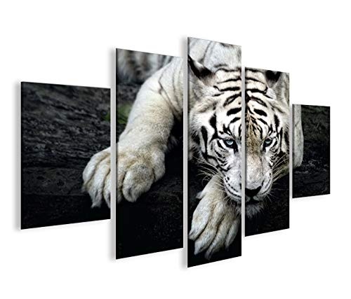 islandburner Bild Bilder auf Leinwand Bengalischer Tiger V2 MF XXL Poster Leinwandbild Wandbild Dekoartikel Wohnzimmer Marke